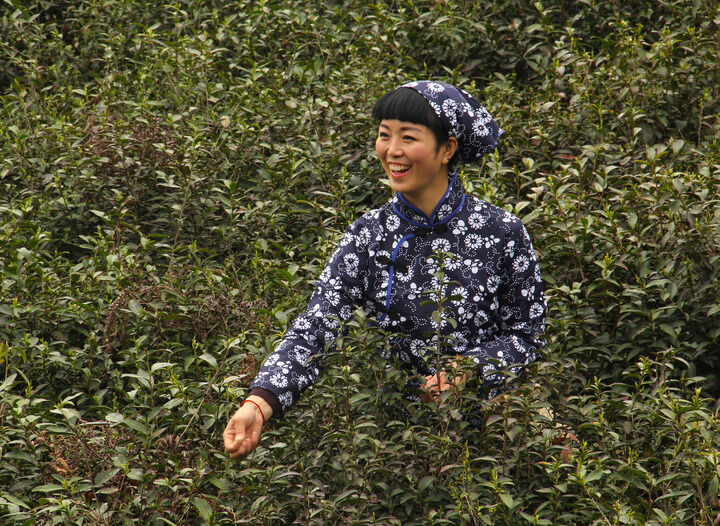 百丽热门8